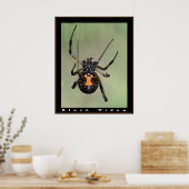 Schwarzes Fenster Poster (Küche)