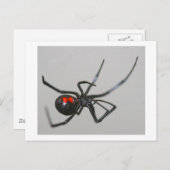 Schwarzes Fenster Postkarte (Vorne/Hinten)