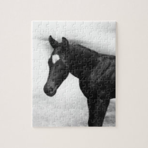 Schwarzes Fohlen Rätsel Puzzle