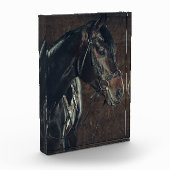 Schwarzes Foto (Links)