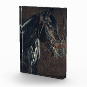 Schwarzes Foto (Rechts)