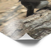 Schwarzes Foto benutzerdefiniert 10" x 8" Foto Erw (Ecke)