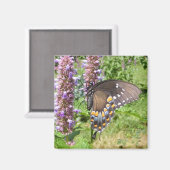 Schwarzes Frack 63 ~ Magnet (Vorderseite/Rückseite)