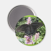 Schwarzes Frack 67 ~ Magnet (Vorderseite/Rückseite)