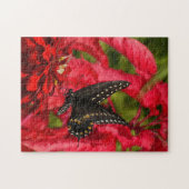 Schwarzes Frack auf dem Puzzle der roten Blume (Horizontal)