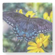 Schwarzes Frack auf gelben Blumen