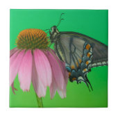 Schwarzes Frack aus Osttiger Fliese (Vorderseite)