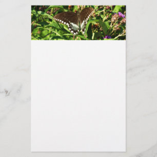 Schwarzes Frack Butterfly Naturfotografie Briefpapier