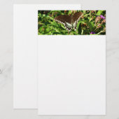 Schwarzes Frack Butterfly Naturfotografie Briefpapier (Vorne/Hinten)