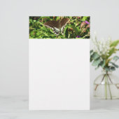 Schwarzes Frack Butterfly Naturfotografie Briefpapier (Stehend Vorderseite)