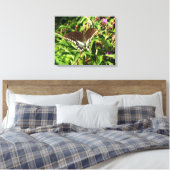 Schwarzes Frack Butterfly Naturfotografie Leinwanddruck (Insitu (Schlafzimmer))