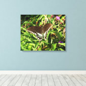 Schwarzes Frack Butterfly Naturfotografie Leinwanddruck (Insitu (Holzboden))