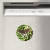 Schwarzes Frack Butterfly Naturfotografie Magnet (In Situ (Geschirrspüler))