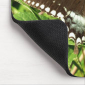 Schwarzes Frack Butterfly Naturfotografie Mousepad (Ecke)