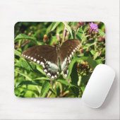 Schwarzes Frack Butterfly Naturfotografie Mousepad (Mit Mouse)