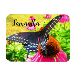 Schwarzes Frack Butterfly Pink Echinacea Blume Magnet