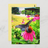 Schwarzes Frack Butterfly Pink Echinacea Blume Postkarte (Vorne/Hinten)