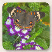 Schwarzes Frack Getränkeuntersetzer (Vorderseite)