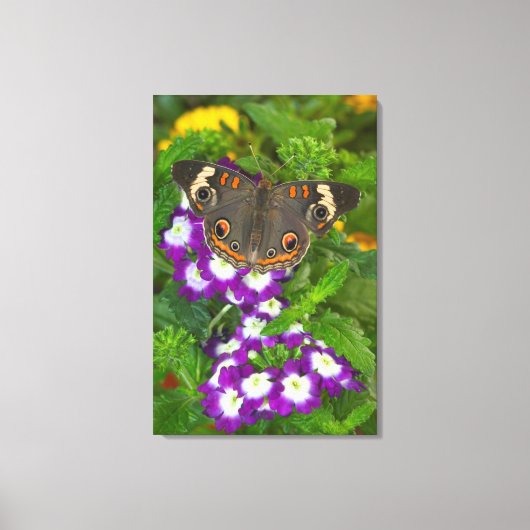 Schwarzes Frack Leinwanddruck (Vorderseite)