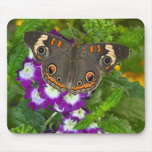 Schwarzes Frack Mousepad (Vorne)