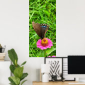 Schwarzes Frack Schmetterling auf rosa Blume Poster (Heimbüro)