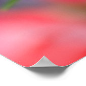 Schwarzes Frack Schmetterling auf Zinnia Poster (Ecke)