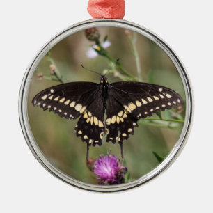 Schwarzes Frack Silbernes Ornament