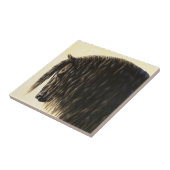 Schwarzes Friesen Fliese (Seite)