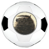 Schwarzes Friesen Fußball (Gedreht)