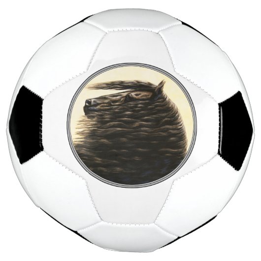 Schwarzes Friesen Fußball (Gedreht)