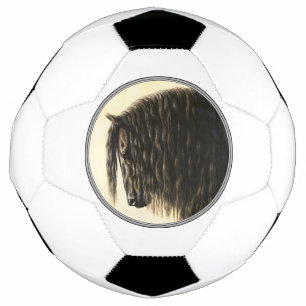 Schwarzes Friesen Fußball