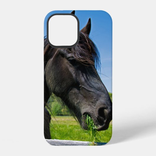 Schwarzes Friesenpferd iPhone Hülle (Rückseite)