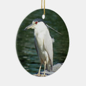 Schwarzes gekrönter Nachtreiher, welche nach einer Keramik Ornament (Rechts)