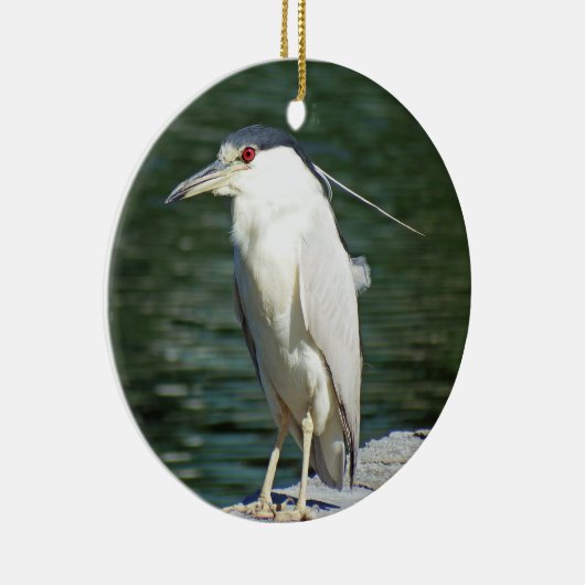 Schwarzes gekrönter Nachtreiher, welche nach einer Keramik Ornament (Rechts)