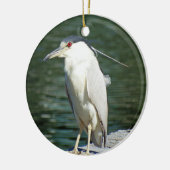 Schwarzes gekrönter Nachtreiher, welche nach einer Keramik Ornament (Links)