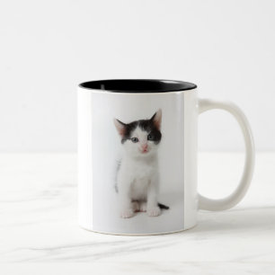 Schwarzes gepunktetes Kätzchen Zweifarbige Tasse