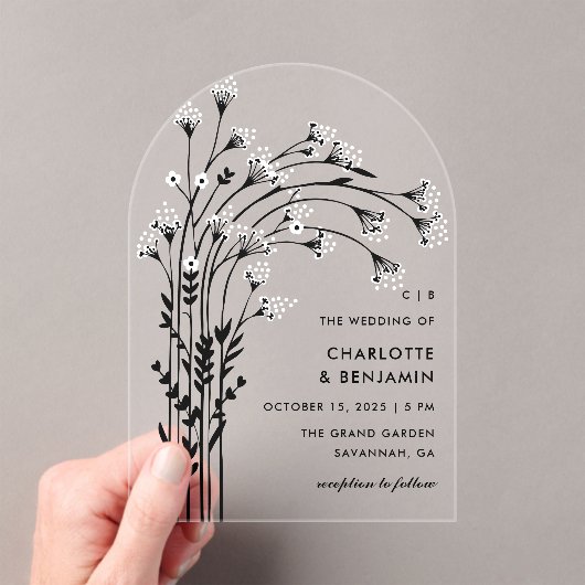 Schwarzes Gipskraut Acryleinladungen (Insitu (Handheld))