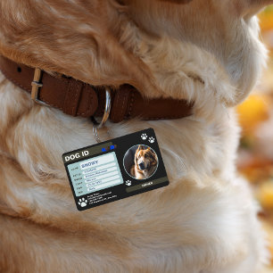 Schwarzes grünes modernes Hund-ID-Tag: Einfach und Ausweis