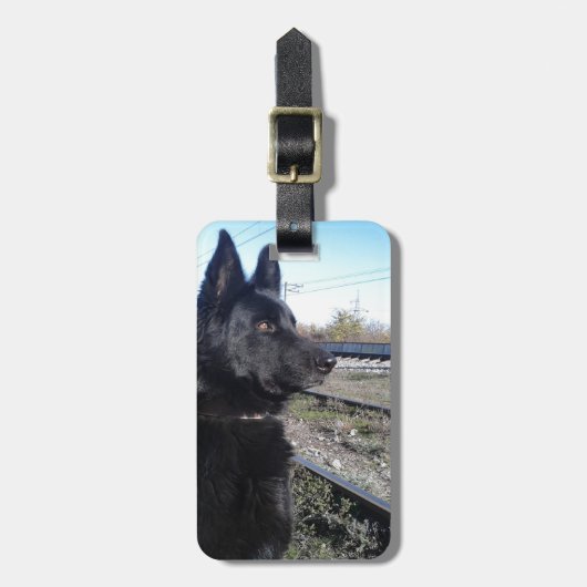 Schwarzes GSD mit Zug-Bahnen Gepäckanhänger (Vorderseite vertikal)