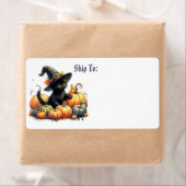 Schwarzes Halloween Kätzchen mit Kürbiskuits & Hex (Insitu)