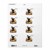 Schwarzes Halloween Kätzchen mit Kürbiskuits & Hex (Vorne)