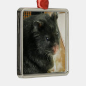 Schwarzes Hamster-Foto Silbernes Ornament (Rechts)