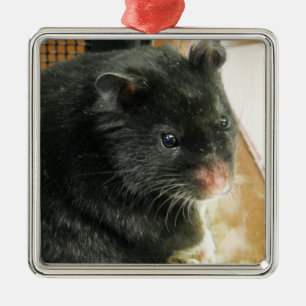 Schwarzes Hamster-Foto Silbernes Ornament