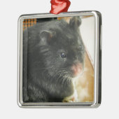 Schwarzes Hamster-Foto Silbernes Ornament (Links)