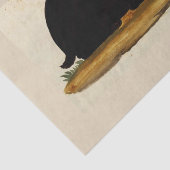 SCHWARZES HÄSCHEN kundenspezifisches 10lb Seidenpapier (Ausschnitt)