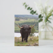 Schwarzes Hochland, Schottland Postkarte (Stehend Vorderseite)