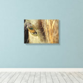 Schwarzes Horse Auge Leinwanddruck (Insitu (Holzboden))