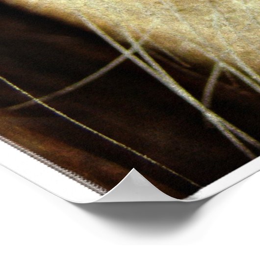 Schwarzes Horse Auge Poster (Ecke)