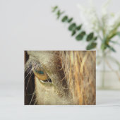 Schwarzes Horse Auge Postkarte (Stehend Vorderseite)
