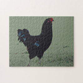 Schwarzes Hühnchen im Gras Art Puzzle